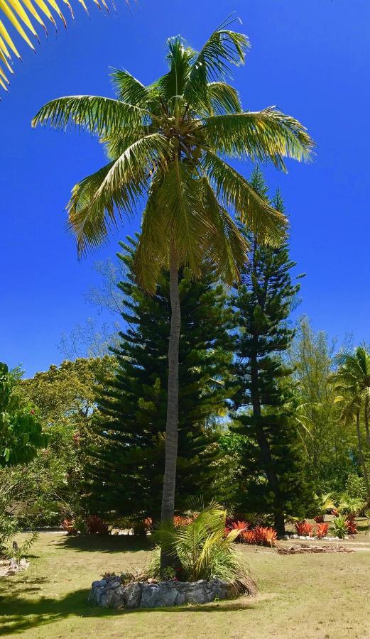 Poponi Cottage Cottage North Palmetto Point Buitenkant foto